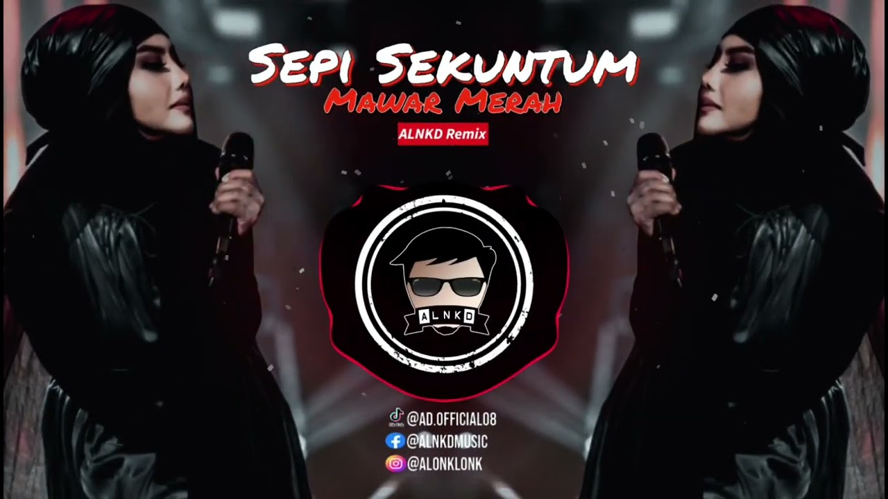 Ella - Sepi Sekuntum Mawar Merah (ALNKD Remix) BreakLatin 2024