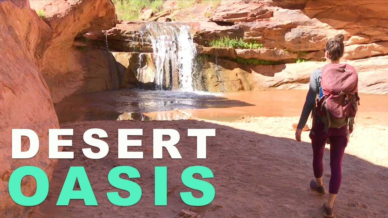 Backpacking Coyote Gulch | Waterfalls, Arches, & Tall Canyon Walls