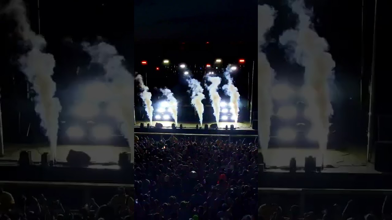DVBBS X Zedd dead 