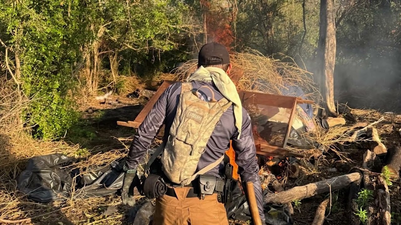 Mais de 40 toneladas de maconha s&atilde;o apreendidas em parque nacional no Paraguai