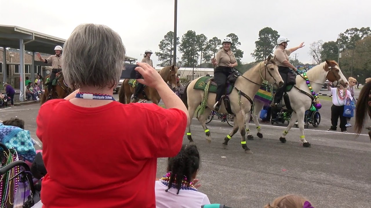 Mounted Unit Deputy Enderson - 2019