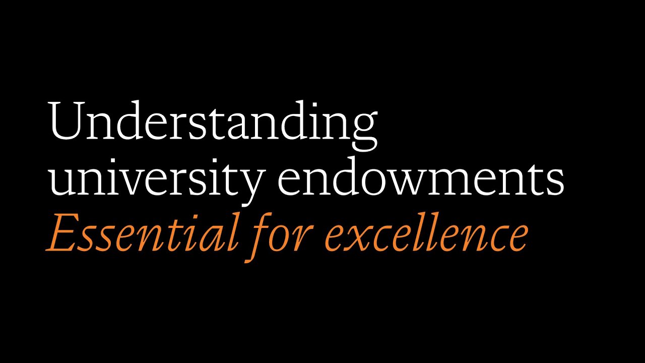 What is a University endowment?