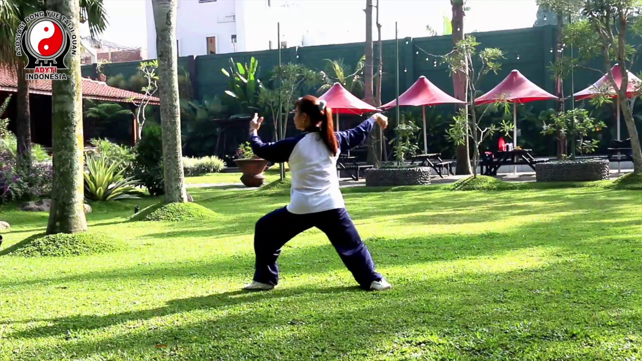 Taiji Jurus 24  ( belakang )  HD