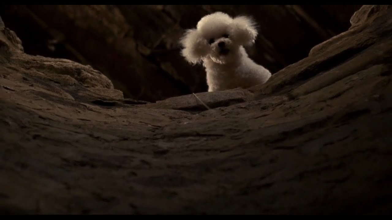 The Silence of the Lambs - The Dance Of 