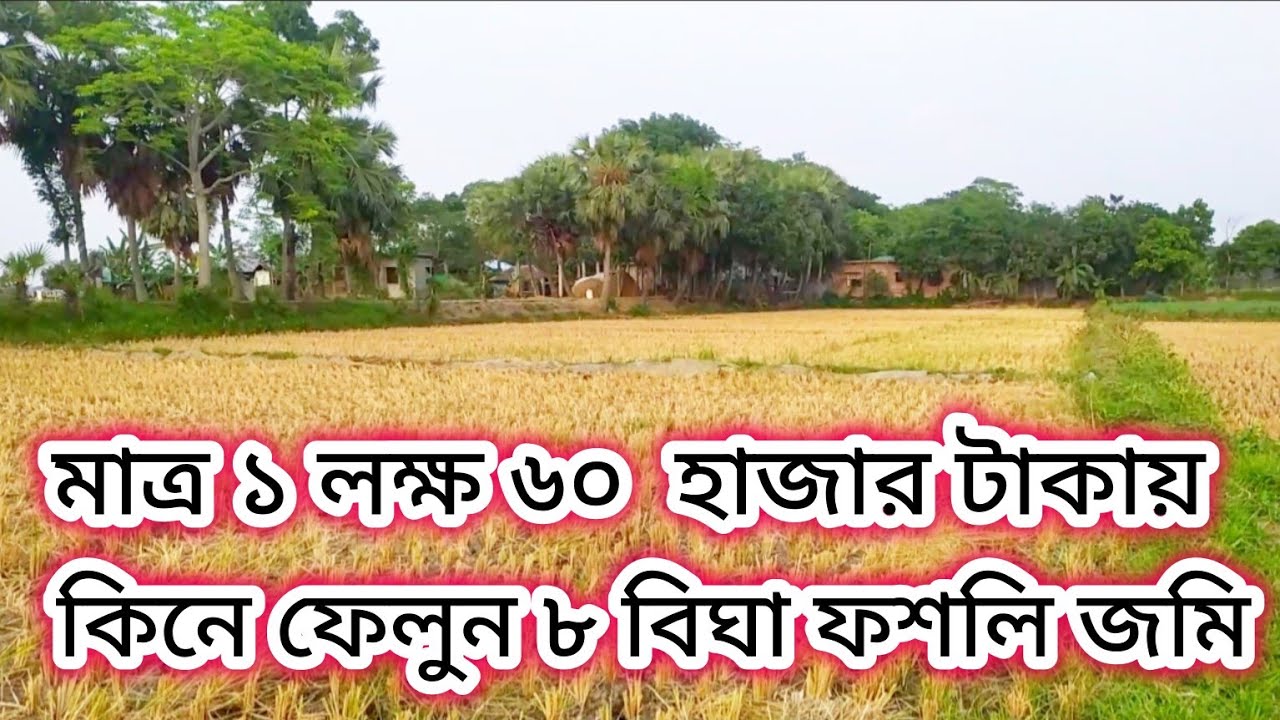 মাত্র ১ লক্ষ ৬০ হাজার টাকায় কিনে ফেলুন ৮ বিঘা ফশলি জমি!