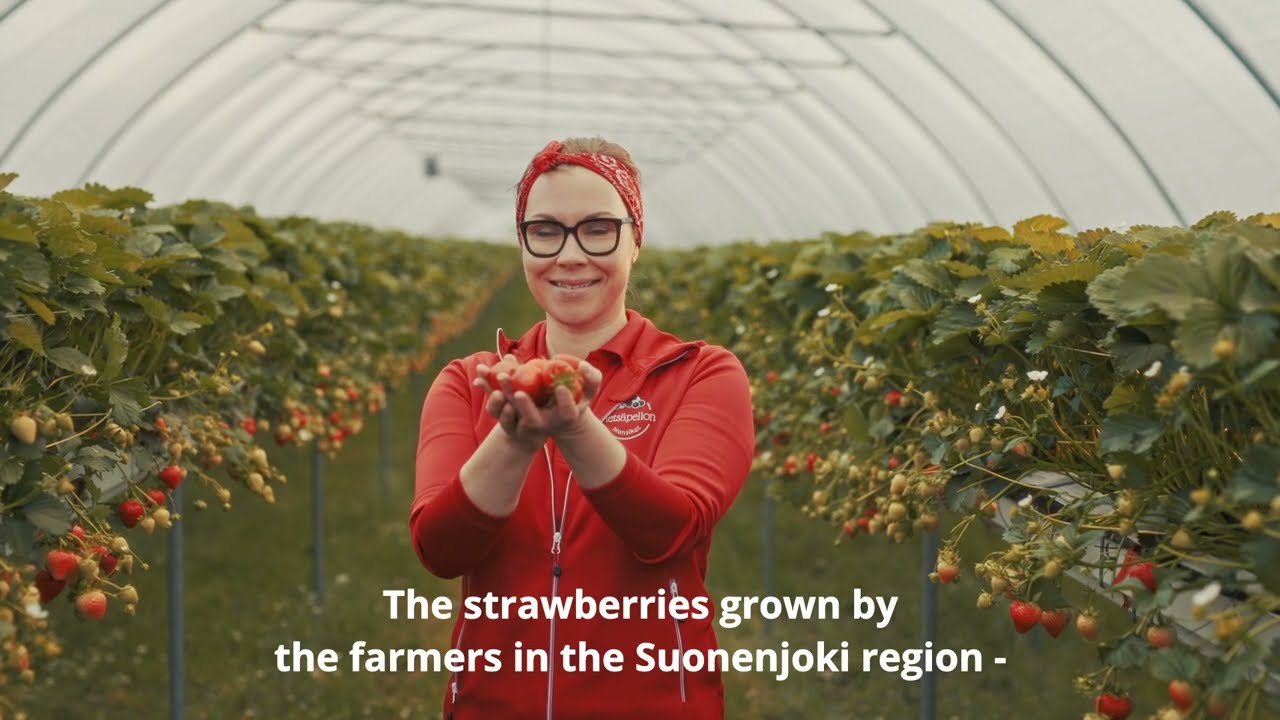 Suonenjoen mansikka - Identified as special