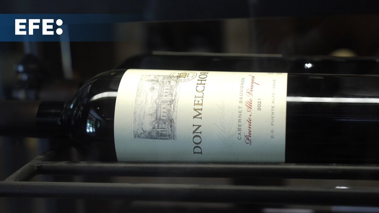 Eligen al vino chileno Don Melchor como el mejor del mundo