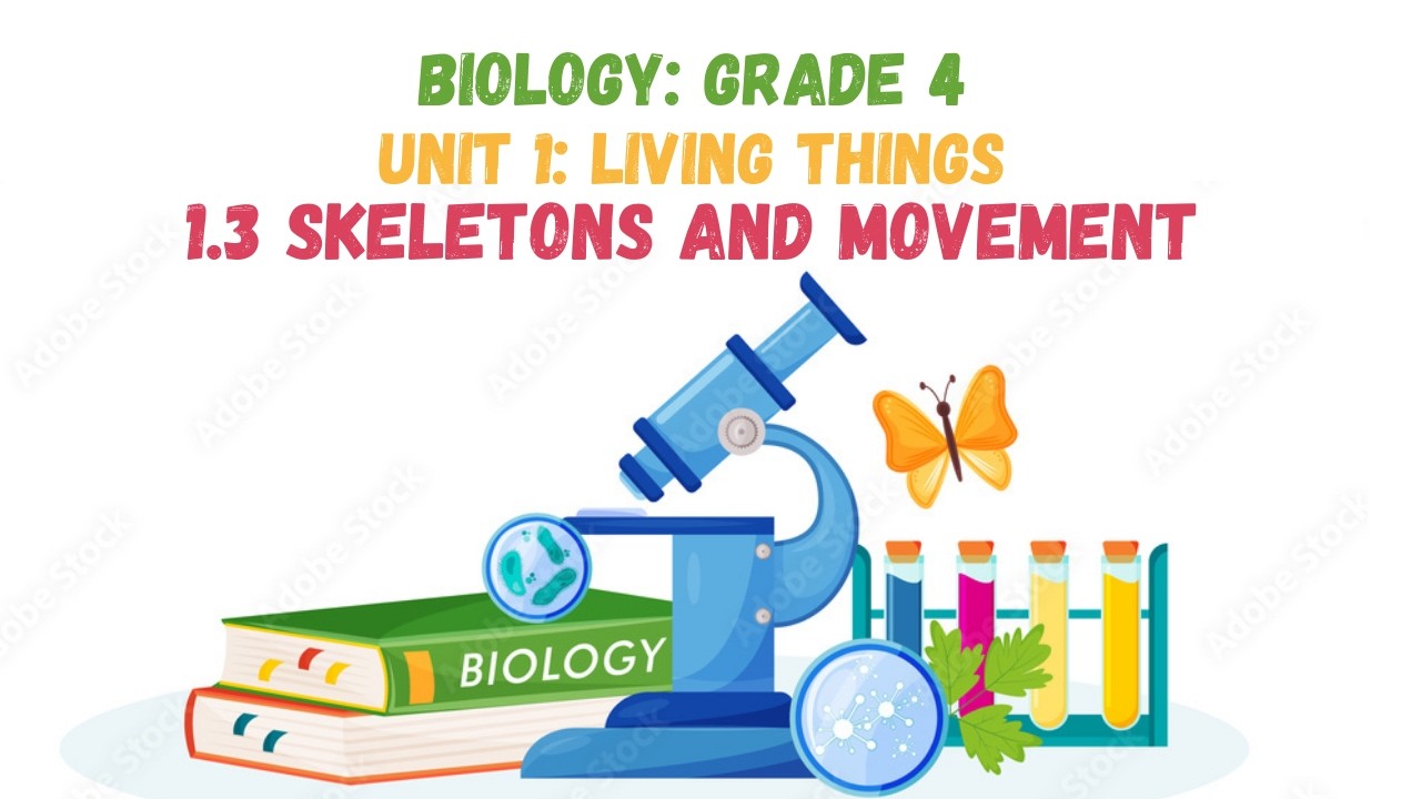 1.3 SKELETONS AND MOVEMENT