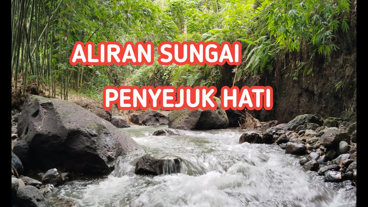 Nature Stream Rivers soft rhythm of nature that soothes the soul