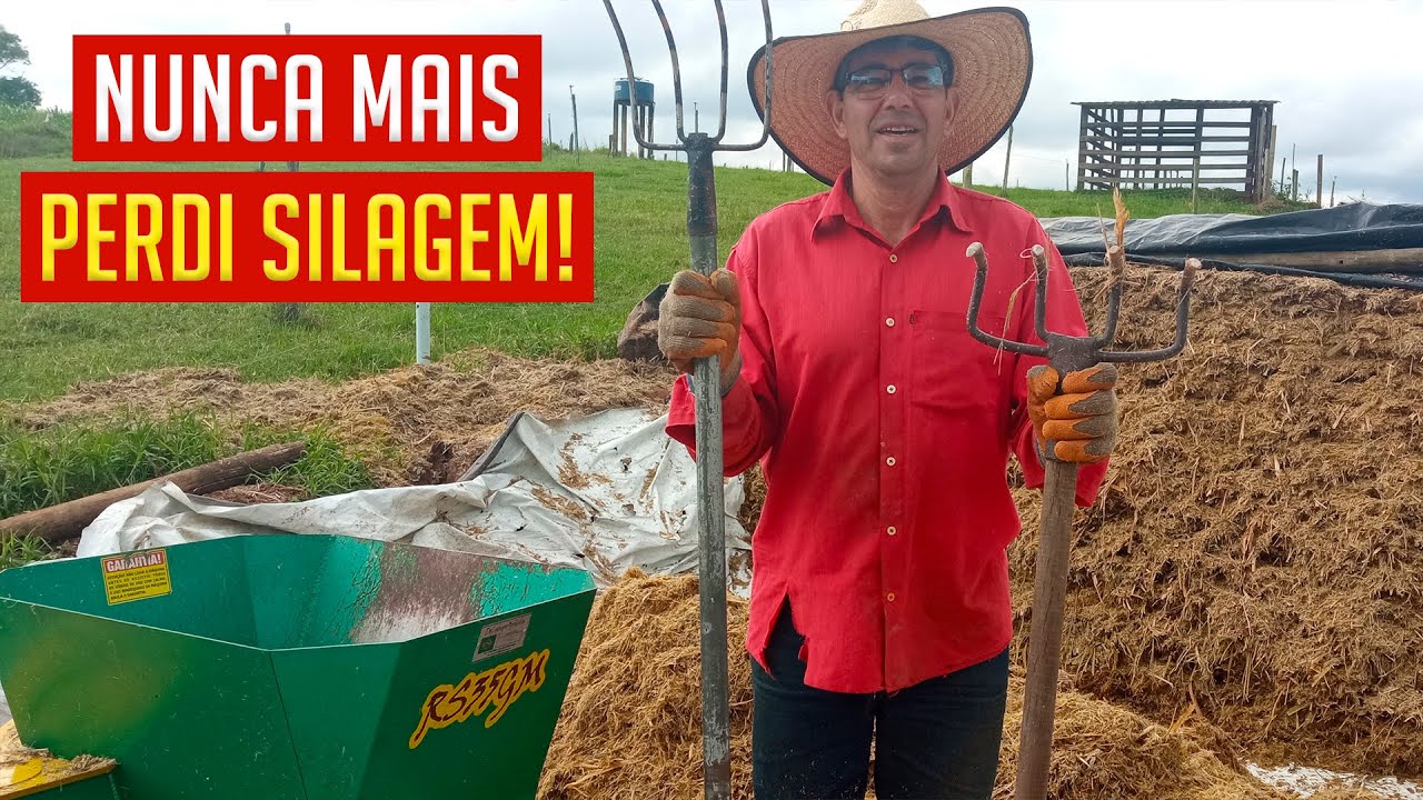 Novo método INCRÍVEL de FECHAR o SILO do CAPIAÇU. Nunca mais perdi Silagem!
