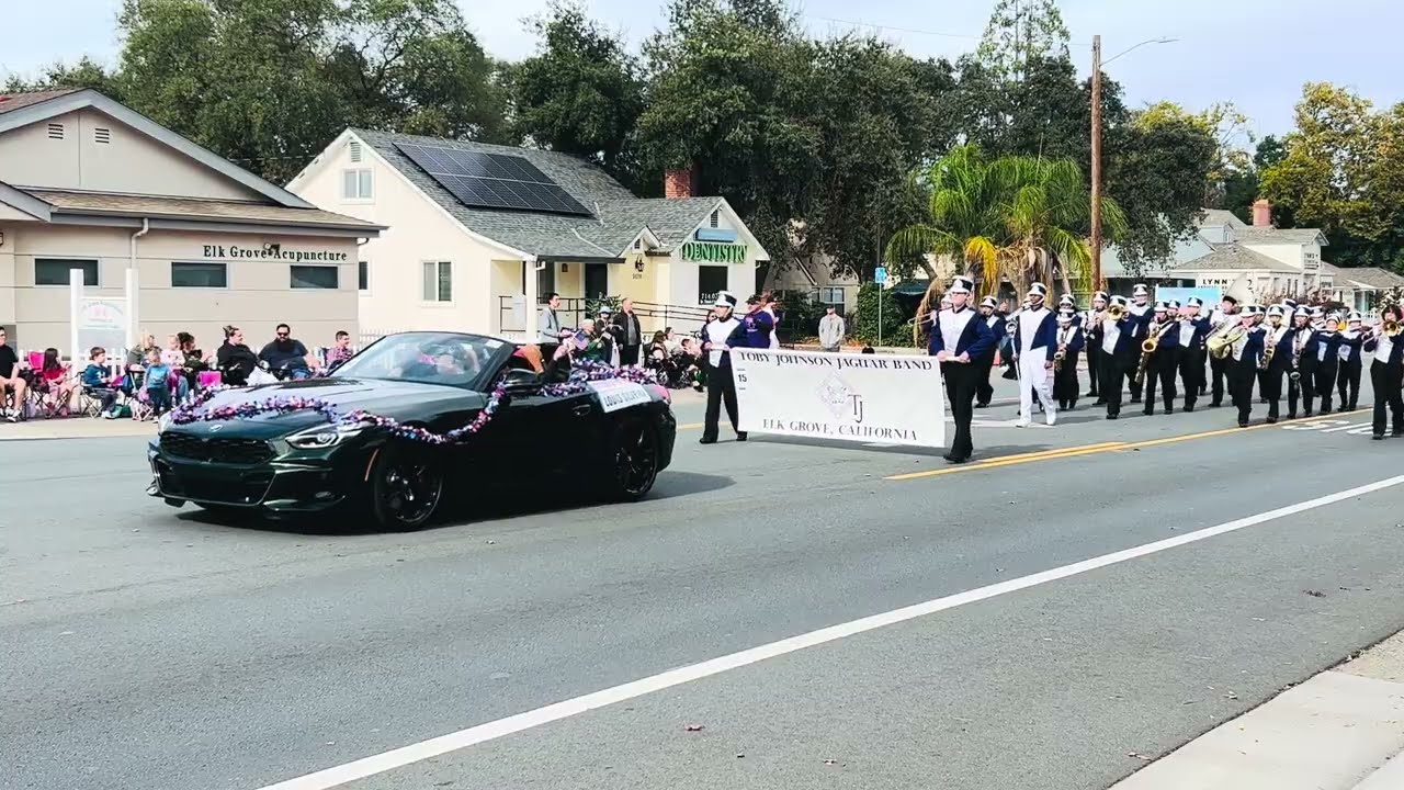 🇺🇸 Veterans Day Parade 2025 | Toby Johnson MS Jaguar Band
