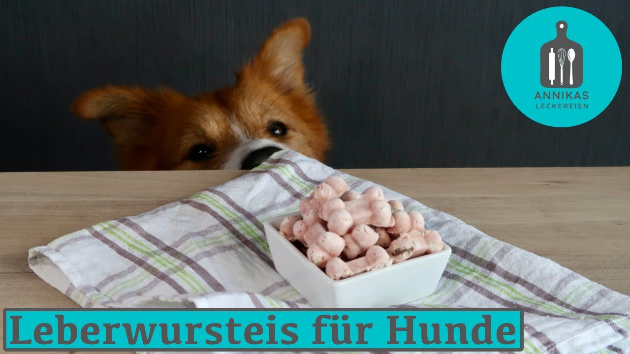 Dieses Eis macht meinen Hund verrückt! Leberwursteis, schnell & einfach