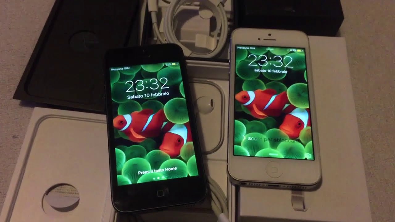 Apple iPhone 5 bianco e nero retroprova