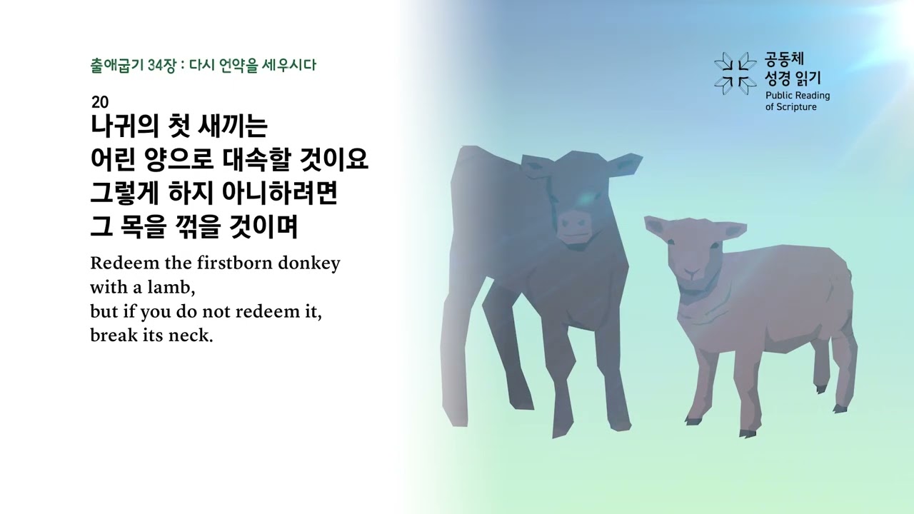 날마다 성경 | 출 33-35, 시편 31 | 1/31(토)