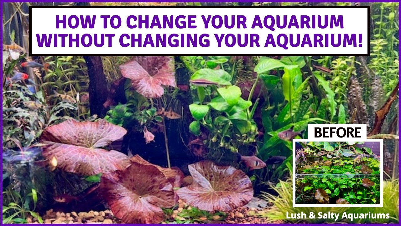 Easy, even fun. Transformed my aquarium in 20 minutes!