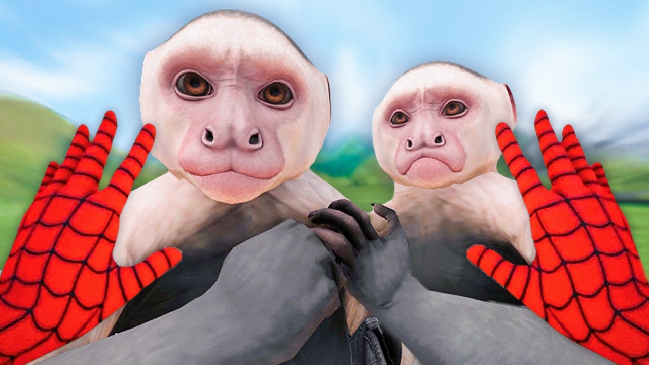 Maymunlar Muzumu &Ccedil;aldı