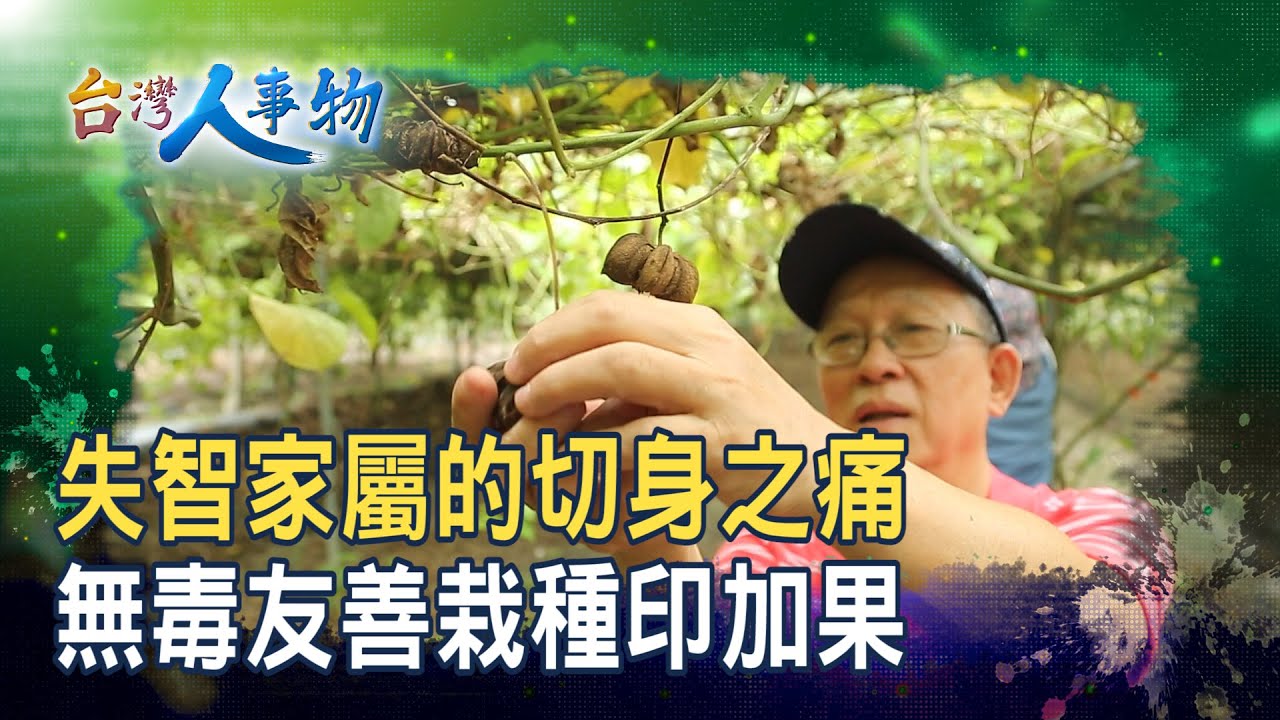 退休老頑童的“油”戲人生｜月光山印加果油｜【台灣人事物】2025.09.20
