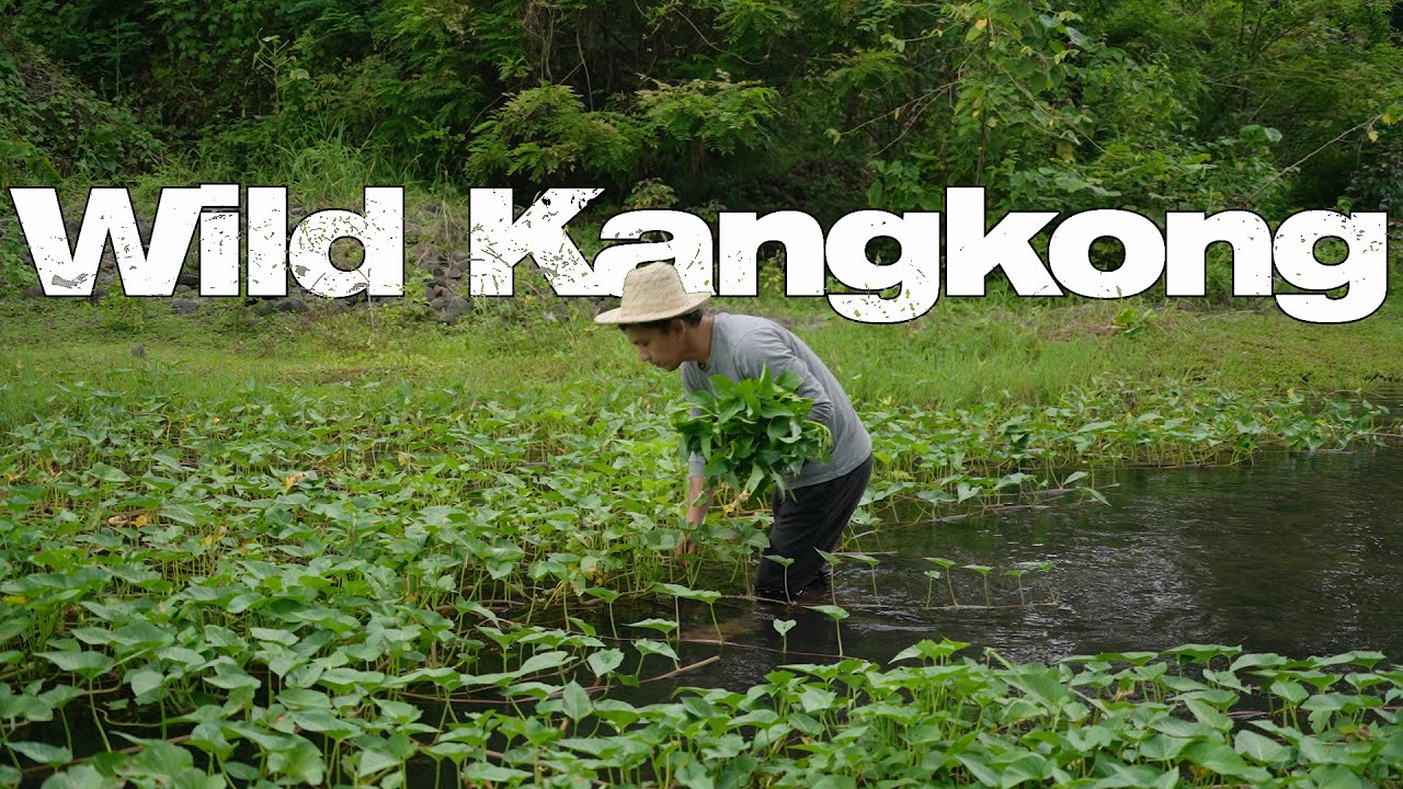 Wild Kangkong Pick&Cook | A Day in my Life | Buhay Probinsya