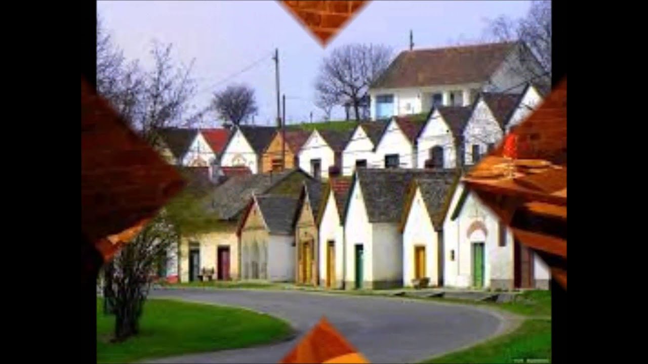 Pince pince, borospince