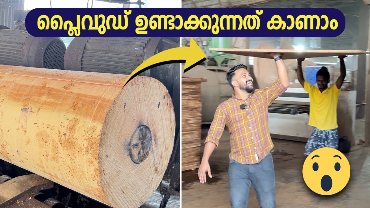 പ്ലൈവുഡ് ഉണ്ടാക്കുന്നത് എങ്ങനെ എന്നറിയാമോ?, വീഡിയോ കാണാം | How Plywood is made?