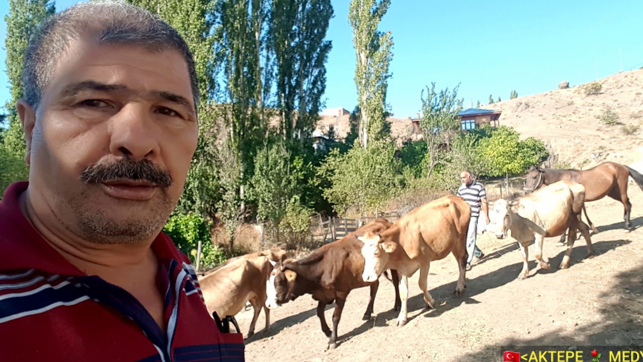 YARALI BİR KUŞU VURDUNMU AVCI