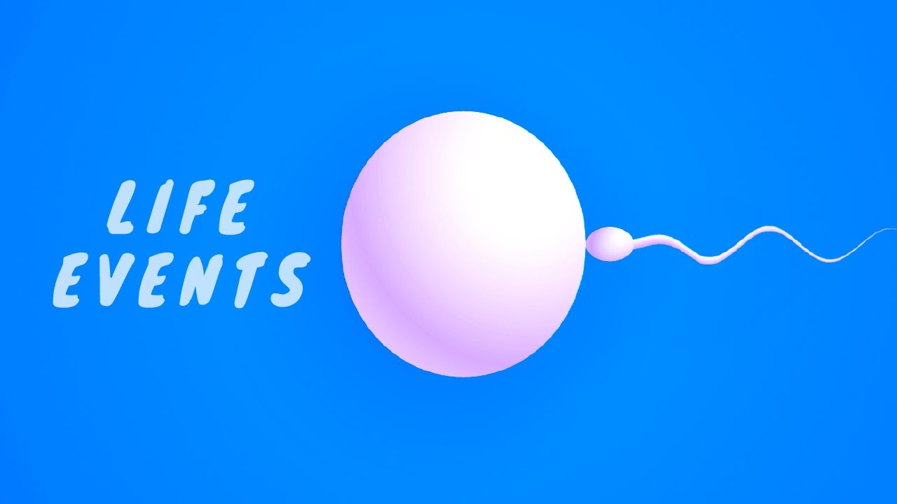 Life Events in English: Learn Vocabulary & Grammar Easily!