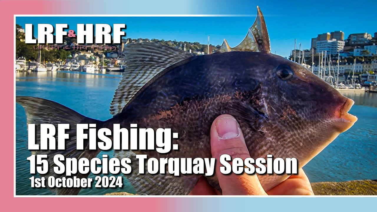 LRF Fishing: 15 Species at Torquay! Trigger Fish, Rockcook, Ringneck & More!