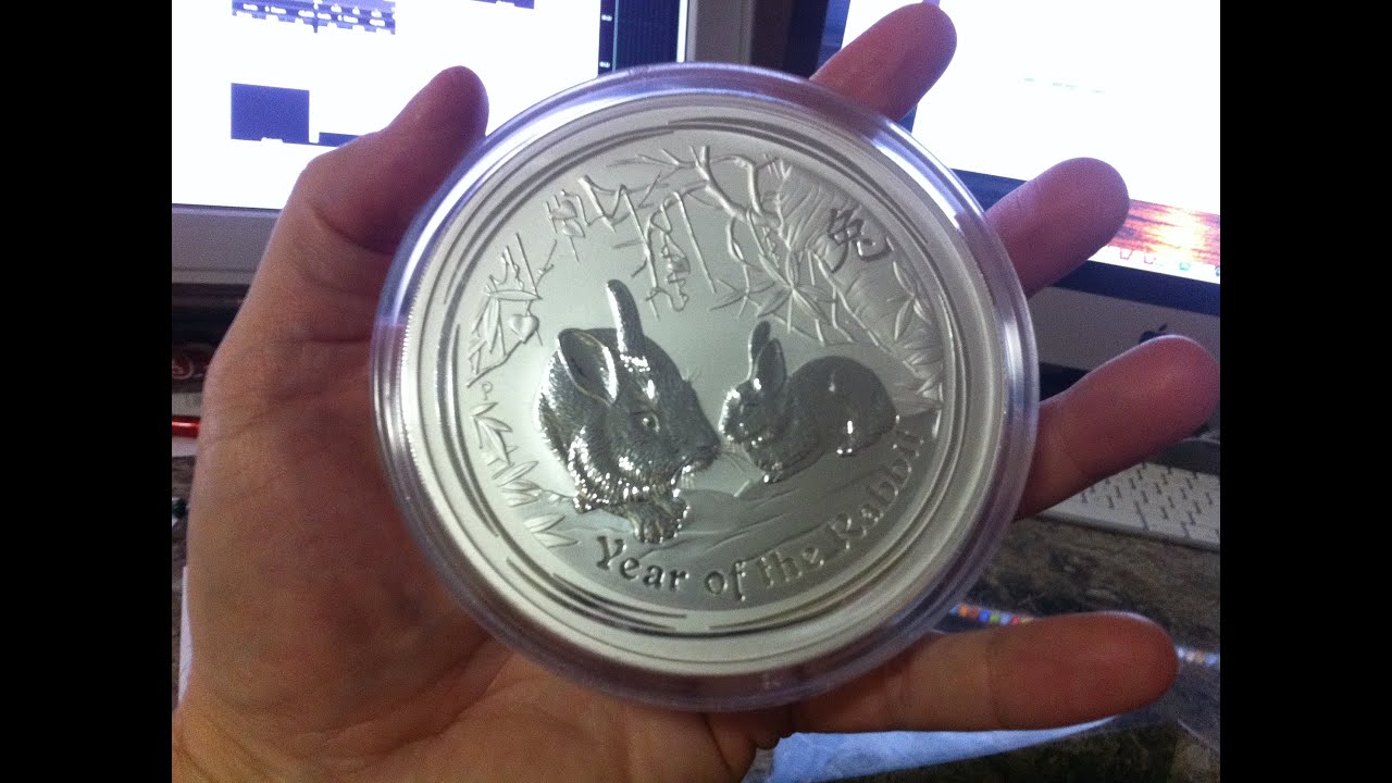 Precious Metals Rapid Price Correction Opinions