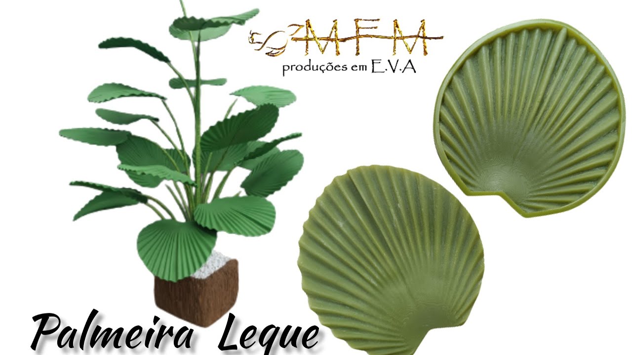 Palmeira Leque