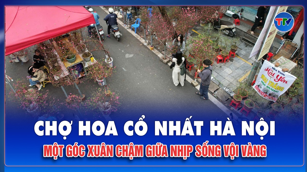 Tết chỉ ghé một lần trong năm ở chợ hoa Hàng Lược – phiên chợ trăm năm độc nhất vô nhị người Hà Nội