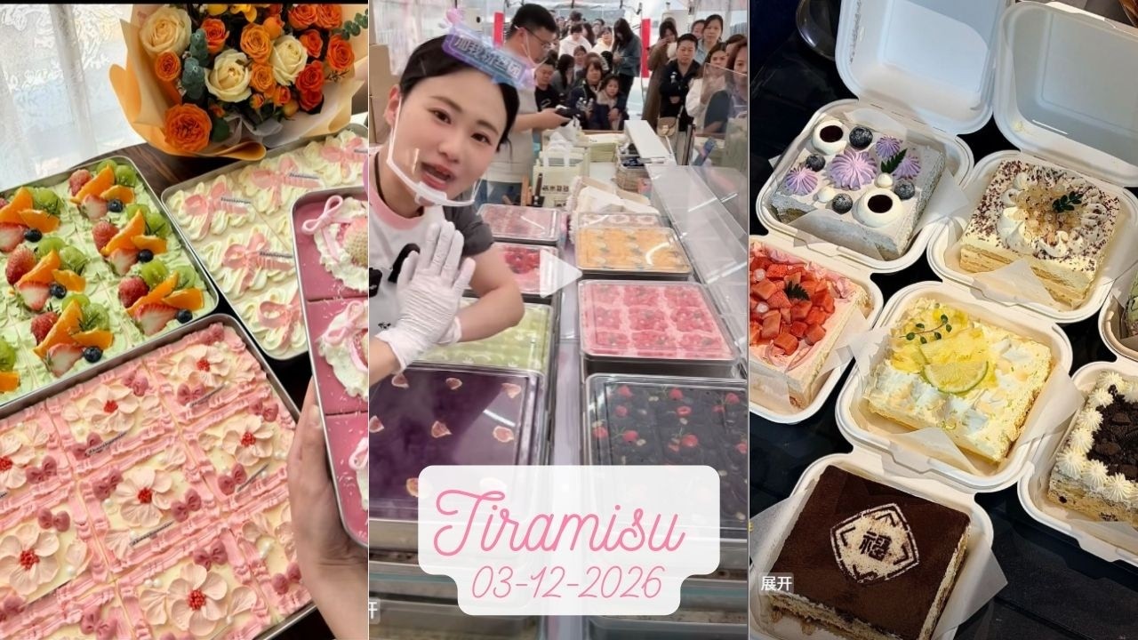 Tiramisu Cake Livestream Sale (80 trays)|Zhao Zhao #03122026 #tiramisu #cake #dessert