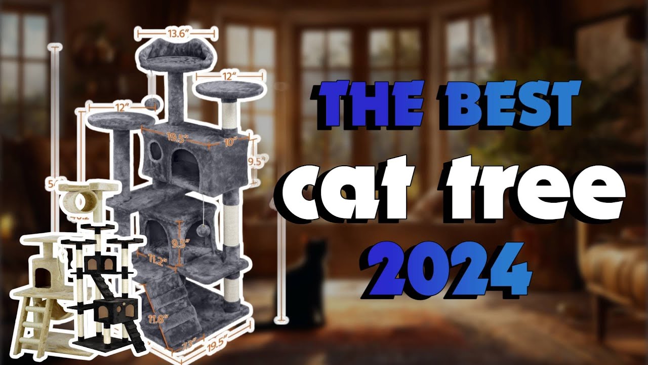 The Best Cat Condos 2024 in 2024 - Must Watch Before Buying!