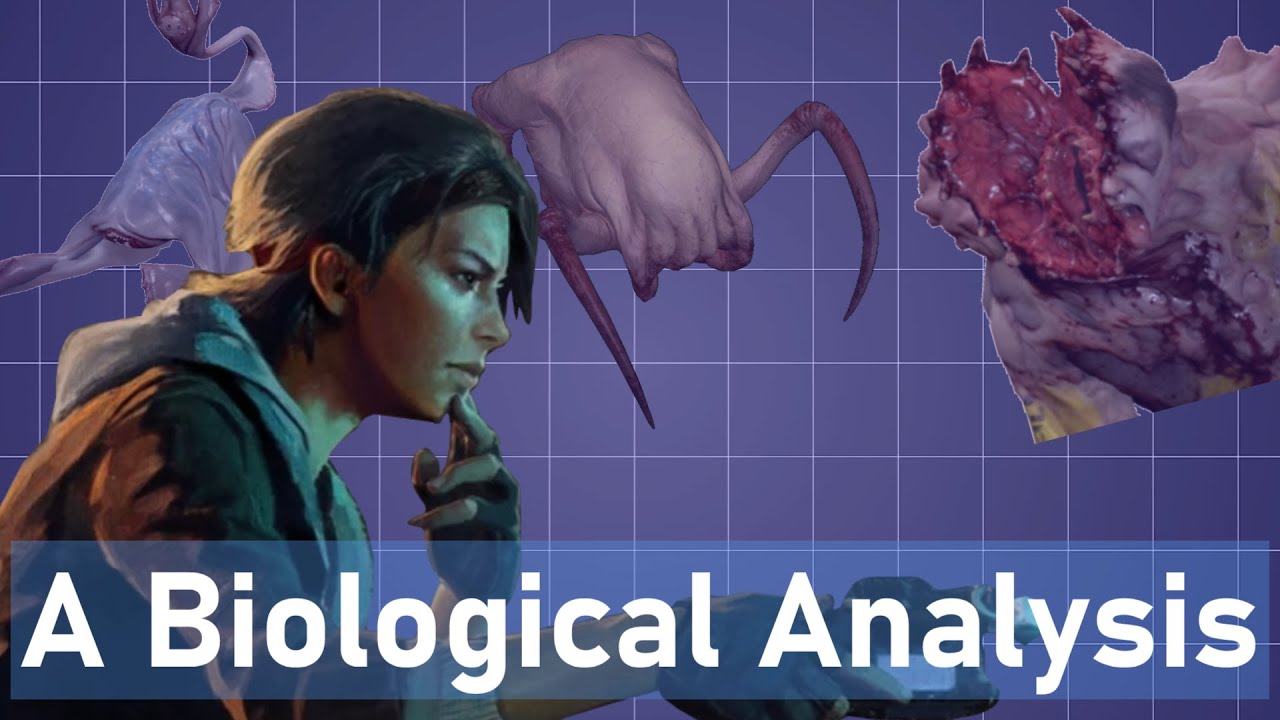 A Biological Analysis of Half life Alyx's XEN