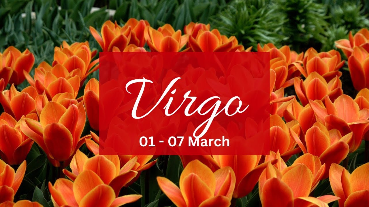 Virgo❤️The one that betrayed ur trust u need to know their plans & intentions!Also this new love..