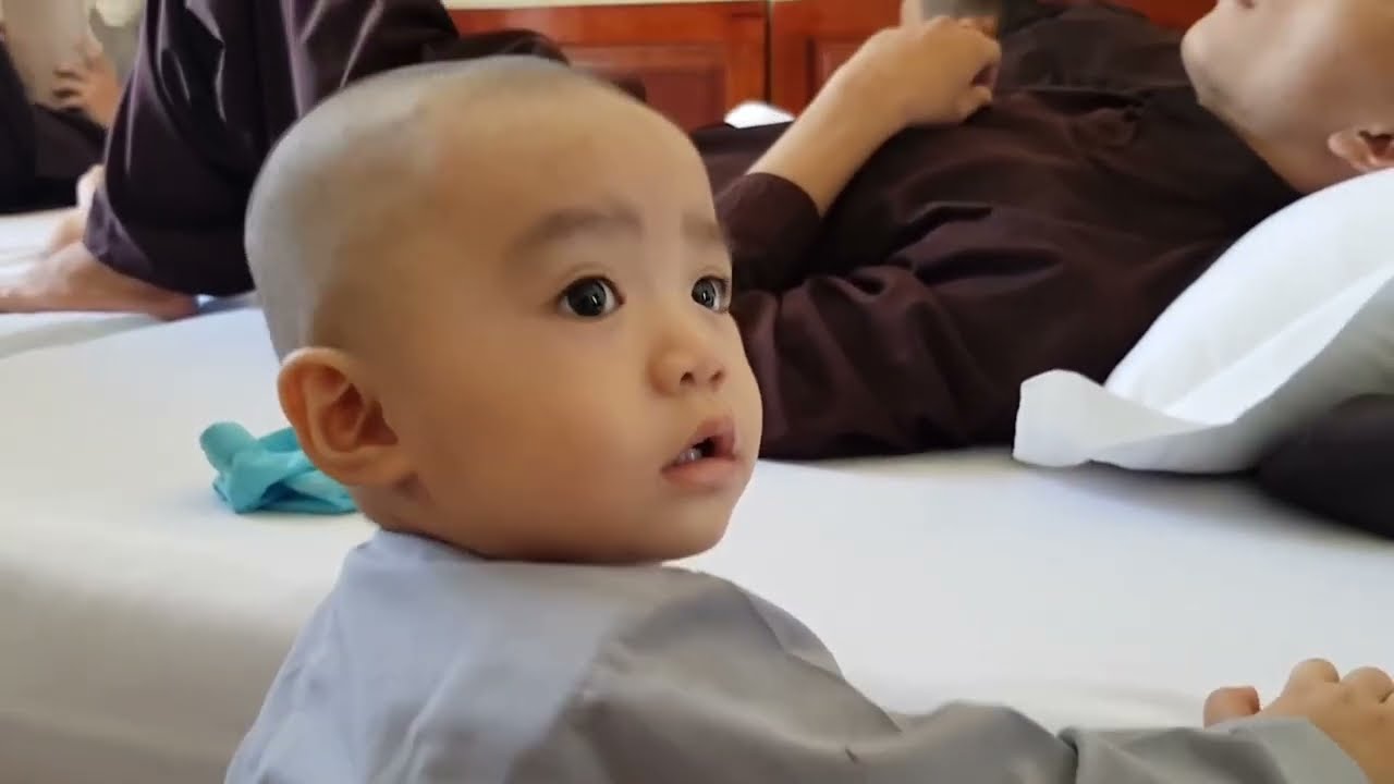 Bộ sưu tập của cục cưng Đức Tâm đây nè | Collections of Duc Tam #ductamthienambenbovutru
