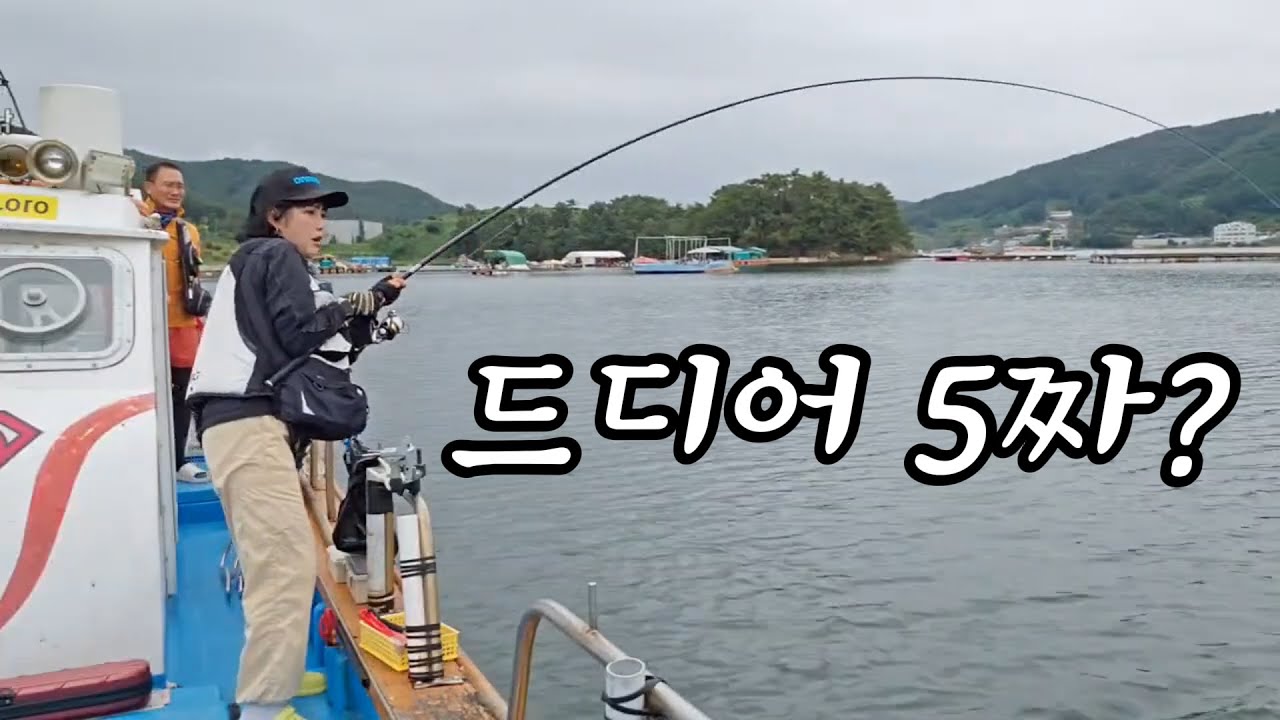 북신만 선외기 감성돔 낚시, 최대 마릿수 기록갱신부터 초대물 입질까지 쉴새없이 쏟아집니다!