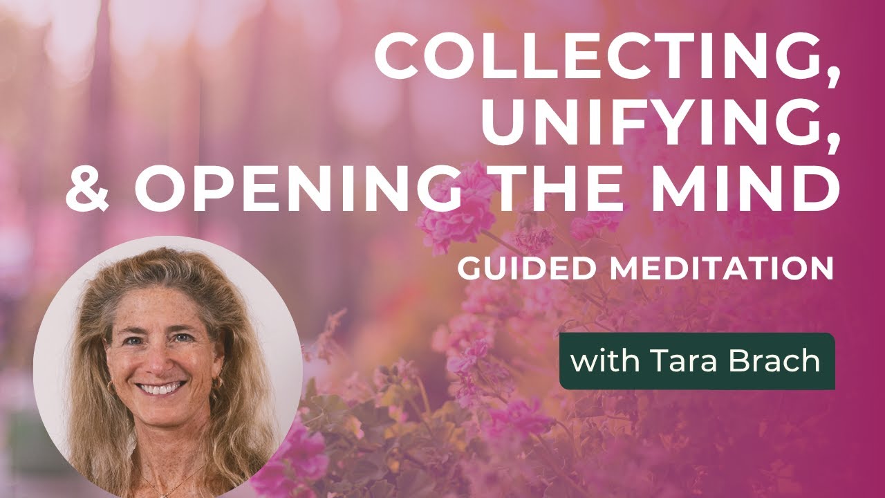 Guided Meditation: Collecting, Unifying, and Opening the Mind, from Tara Brach