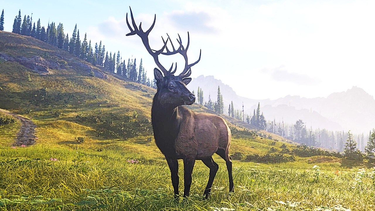 Ce simulateur de chasse immersif en monde ouvert est extr&ecirc;mement prometteur | D&eacute;mo de Way of the ...