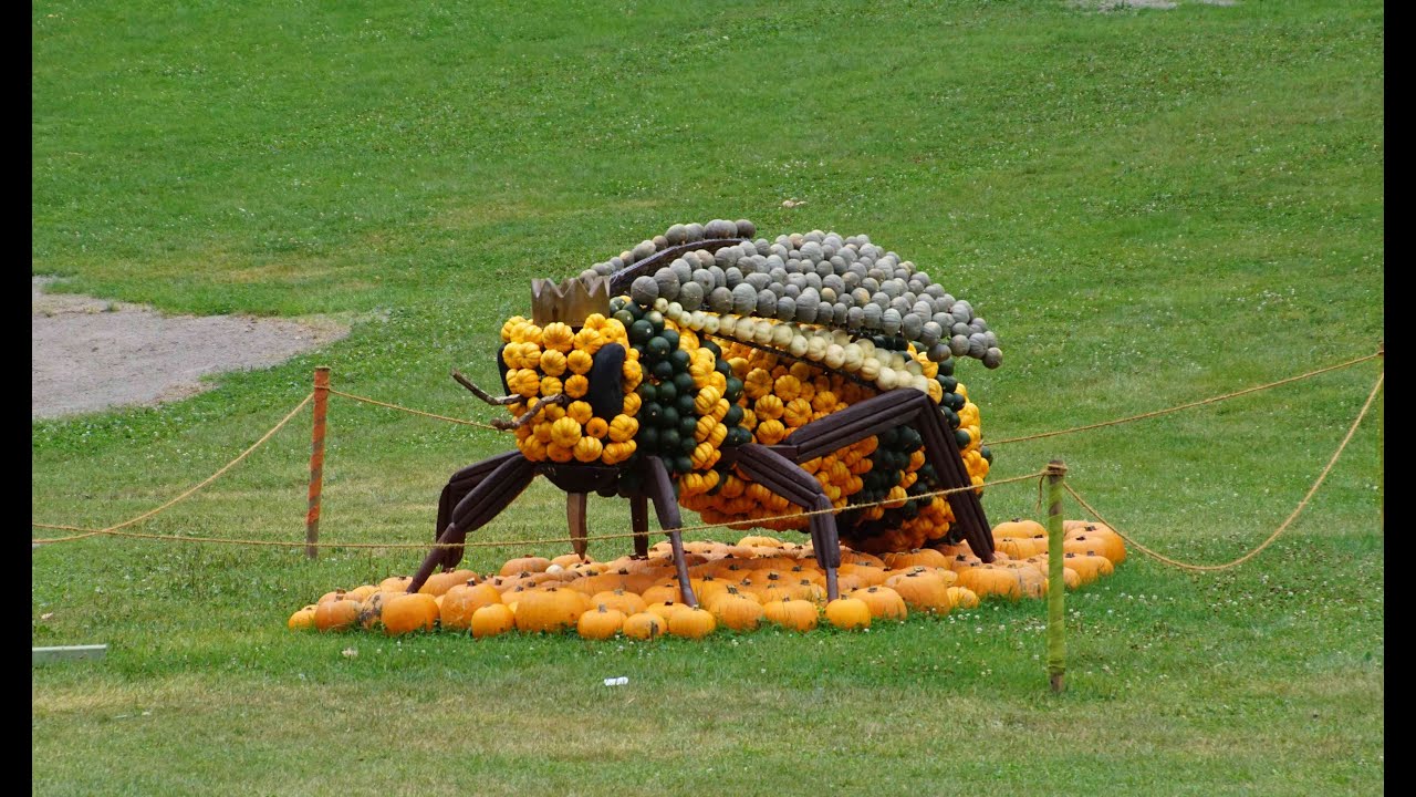 Blühendes Barock Ludwigsburg Kürbisausstellung#kürbisausstellung