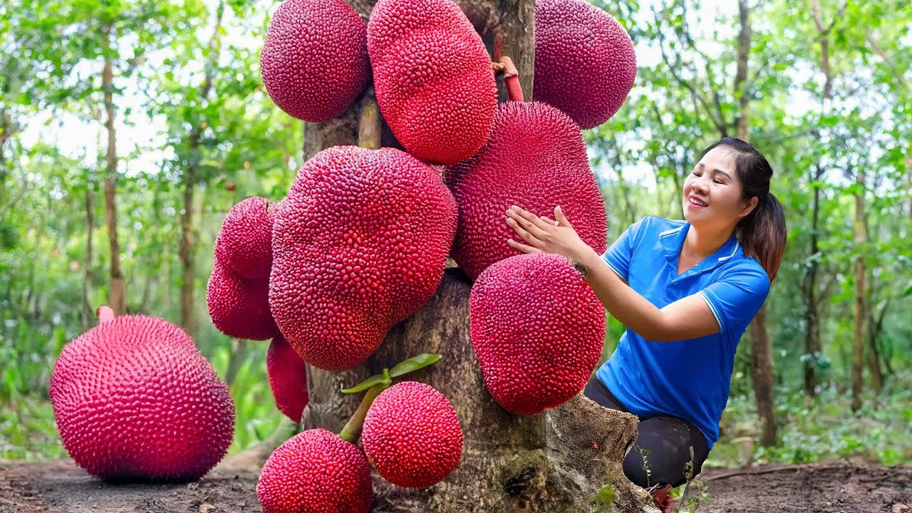 Harvesting Giant Death's Beehive & Go to Market Sell | Animals Rescue Story | Lý Thị Hằng