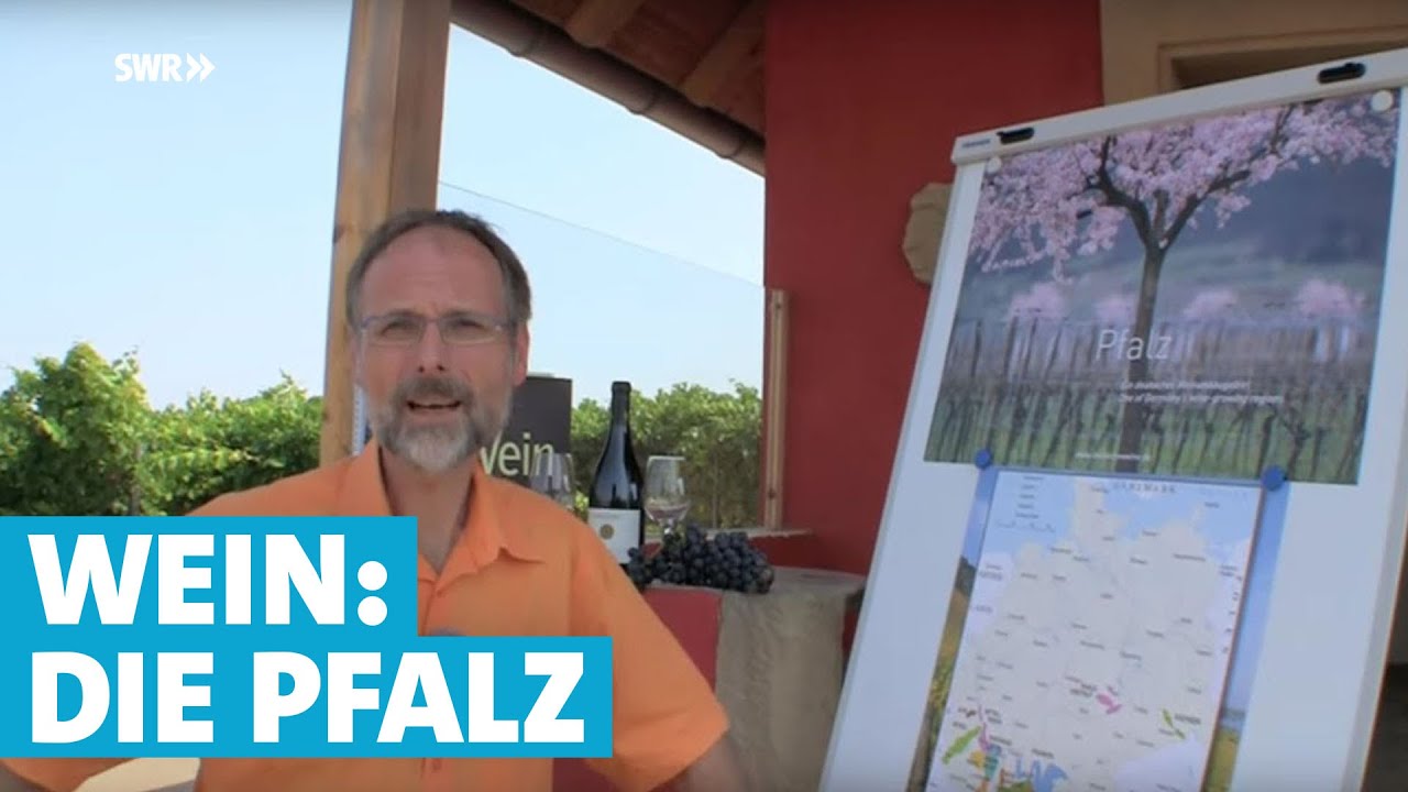 Werner erkl&auml;rt Wein: Die Pfalz