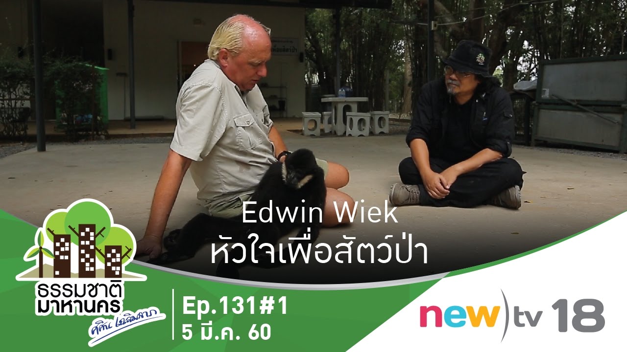 ธรรมชาติมาหานคร ep.131#1 | Edwin Wiek หัวใจเพื่อสัตว์ป่า | 05-03-60 | newtv18