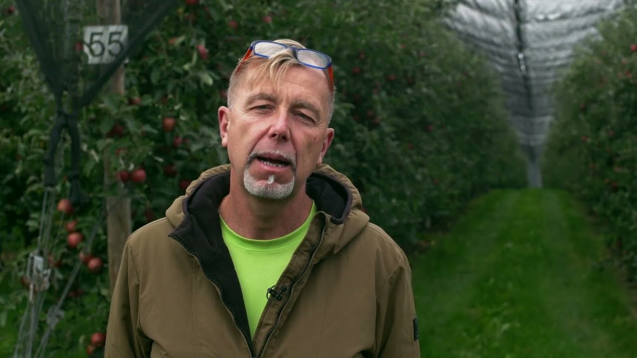 Sady Klášterec nad Ohří - Integrovaná produkce ovoce