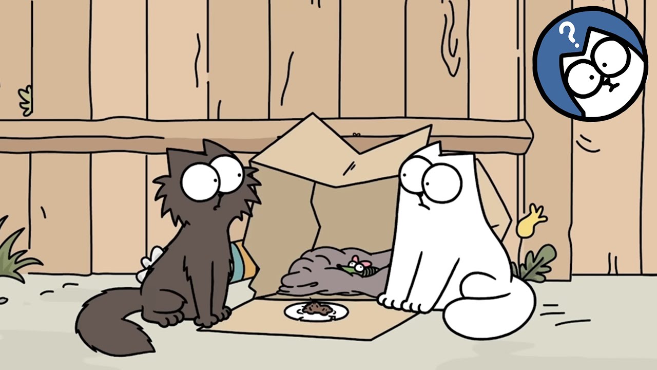 Teddy Finds His Forever Home | Simon's Cat