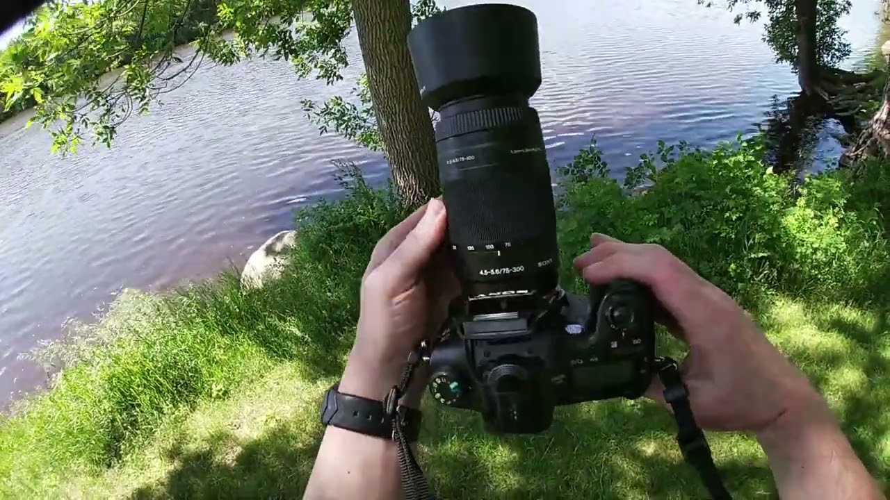 Sony SLT-A77 video.