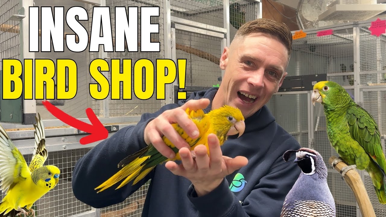 I Found the UK&rsquo;s Largest Bird Shop&hellip; and It&rsquo;s INSANE 🐦🔥