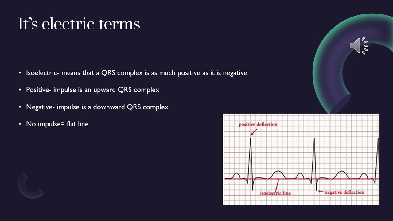 Week 4 powerpoint