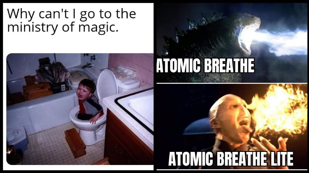 Funny Harry Potter Memes That will make your day #2