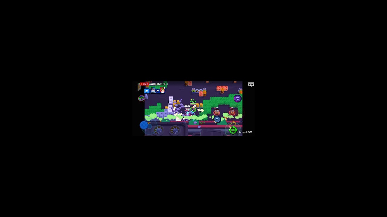 მხოლოდ SHELLY!! LIVE