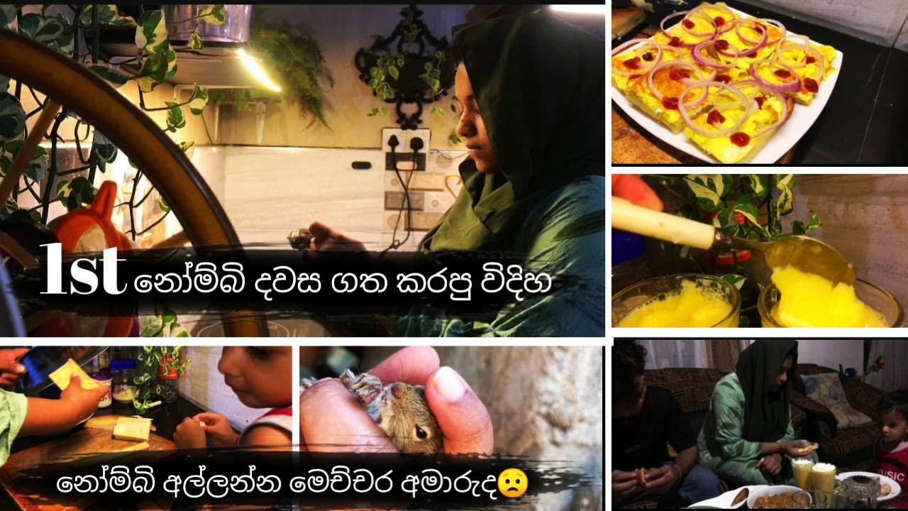 නෝම්බි පලවෙනි දවස ගෙවුනු හැටි.නෝම්බි අල්ලන්න ලේසි නෑ😟😥/custud miilk sheak recipe